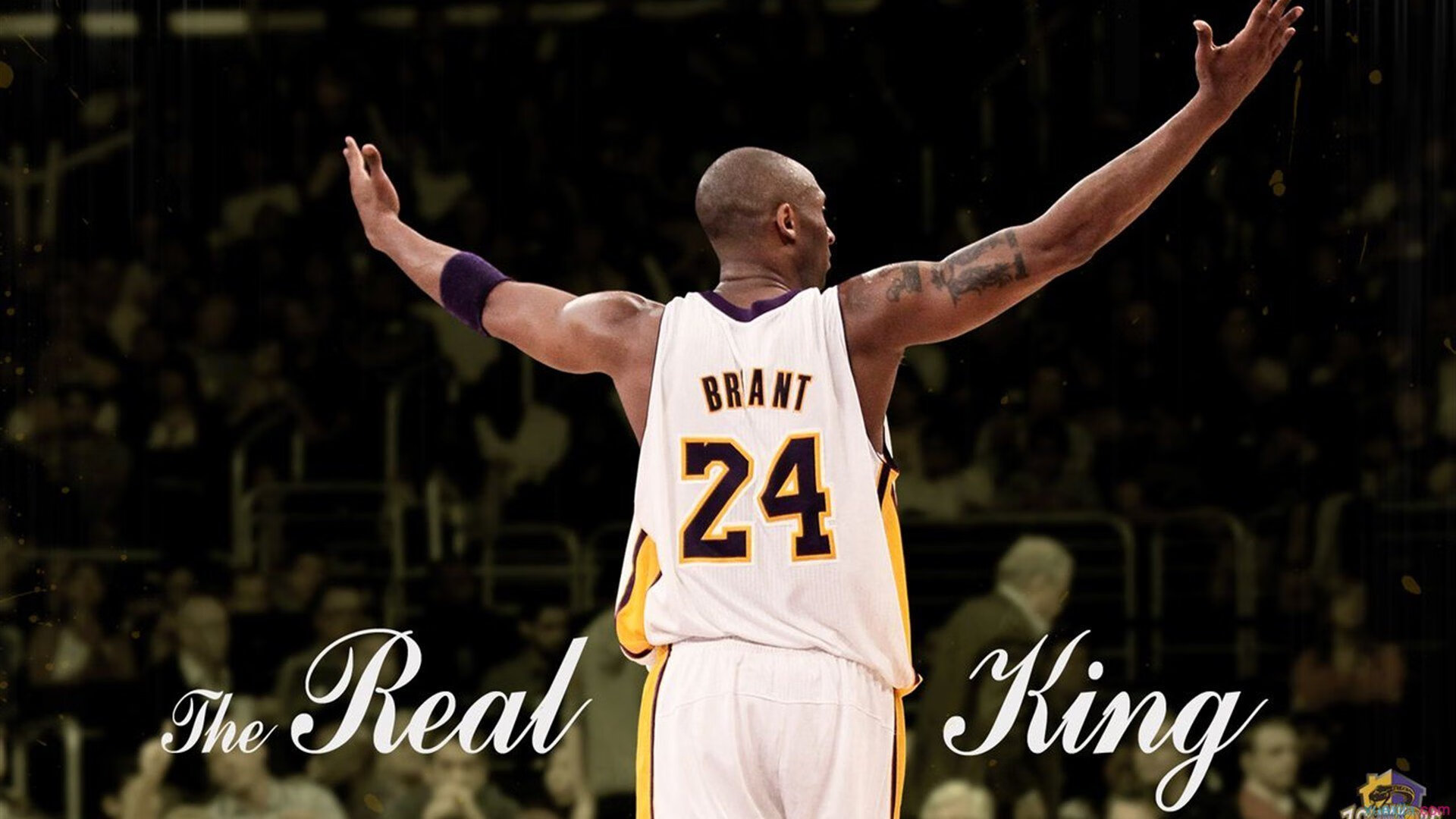 锡安让比赛提前失去悬念，鹈鹕拿下灰熊